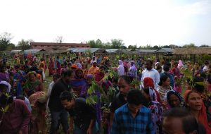 Foundation Day observed at Hatiutha village