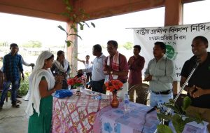 Foundation Day observed at Hatiutha village