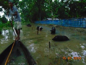 Appeal for Funds for Flood-Affected Victims in Rural Assam