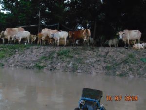 Appeal for Funds for Flood-Affected Victims in Rural Assam