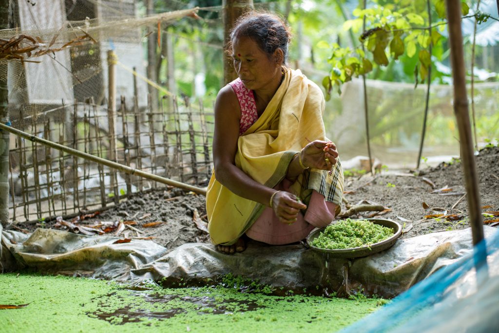 PROMOTING SELF SUSTAINABLE PRODUCER ORGANIZATIONS IN BHURBANDHA BLOCK, MORIGAON