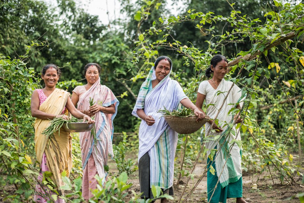 PROMOTING SELF SUSTAINABLE PRODUCER ORGANIZATIONS IN BHURBANDHA BLOCK, MORIGAON