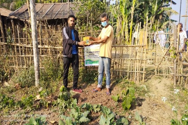 Ridge Gourd and Dhaincha Distribution