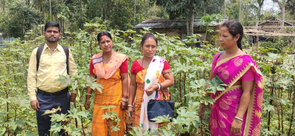 Strengthening Eri Silk production through Women's Business Centre.