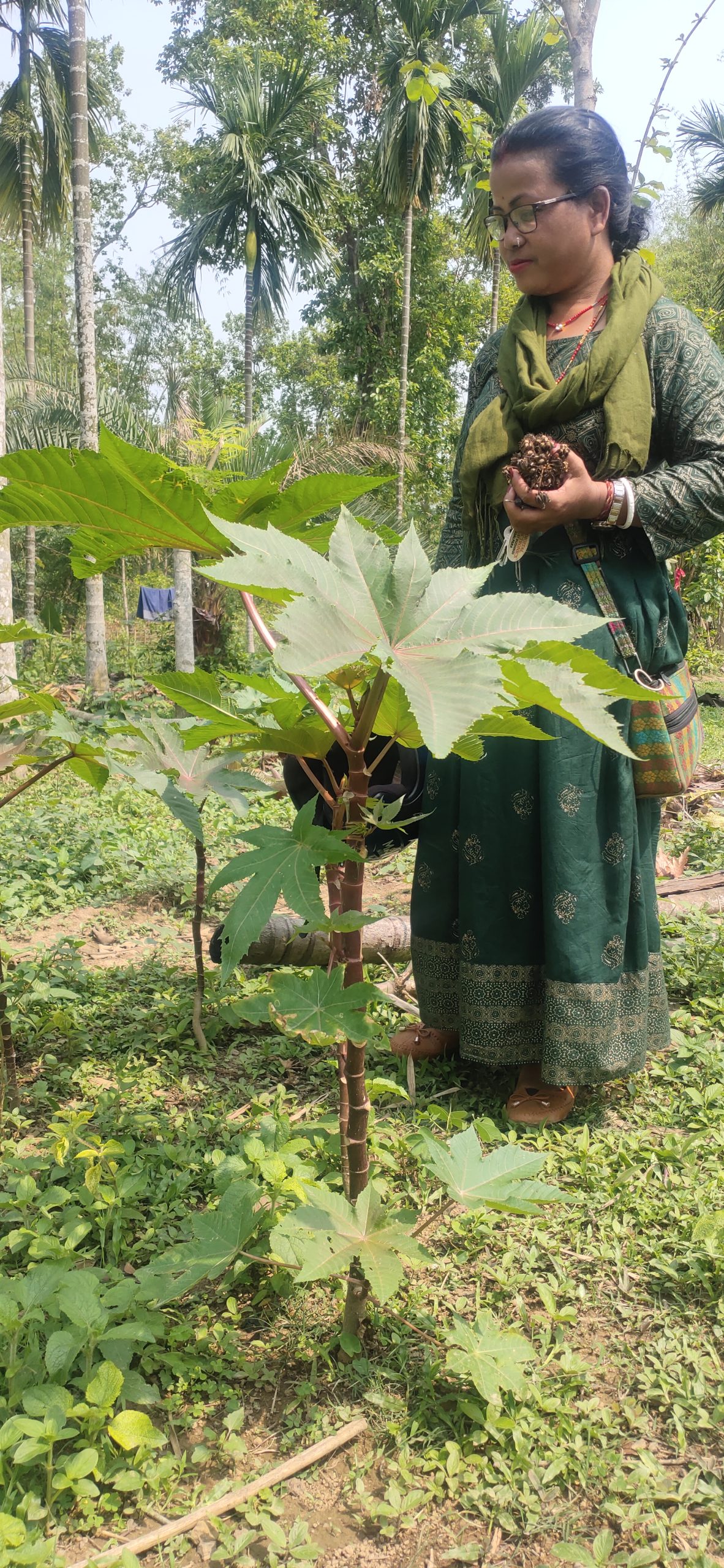 Strengthening Eri Silk production through Women's Business Centre.