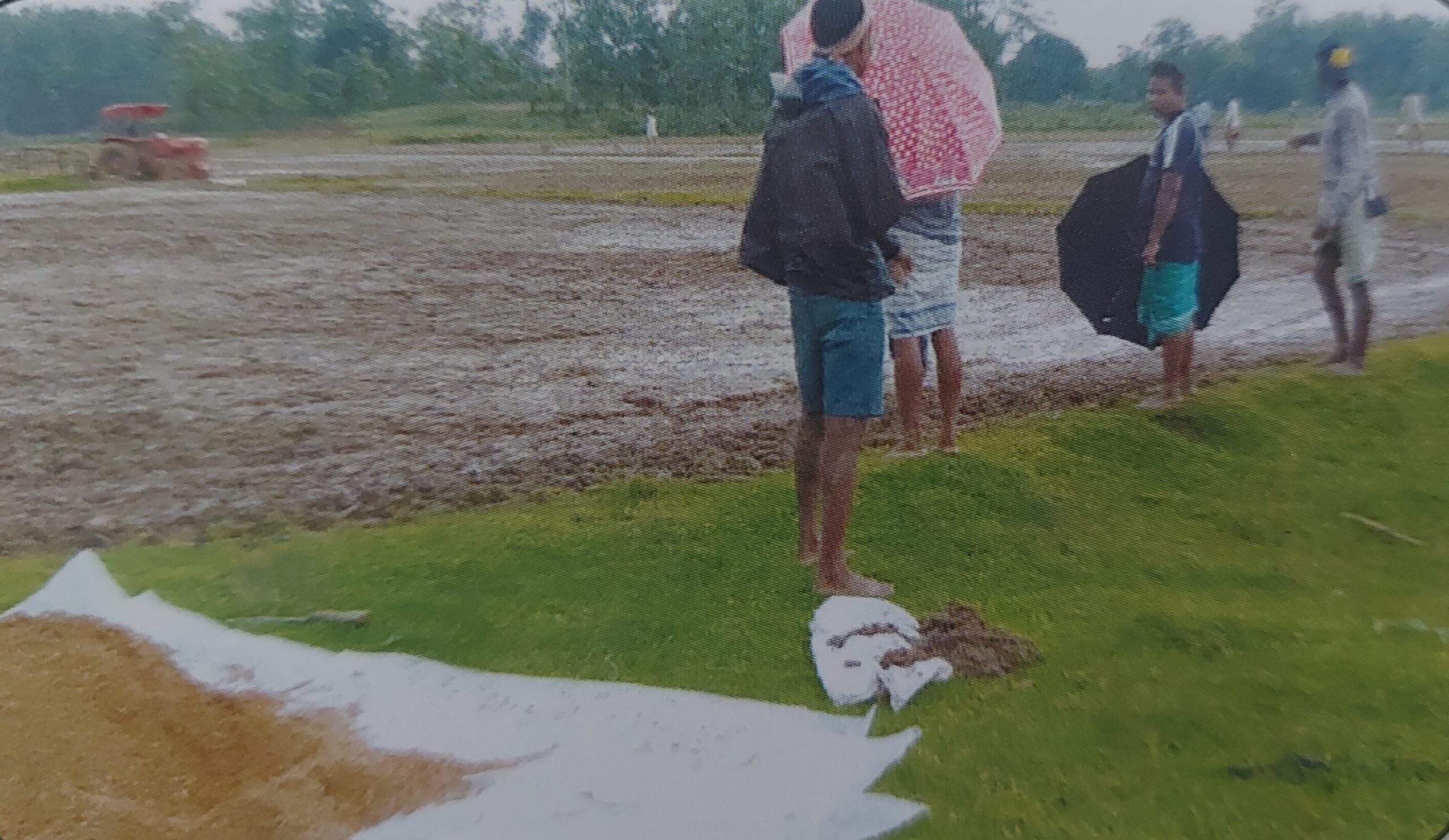 PADDY NURSERY PROJECT