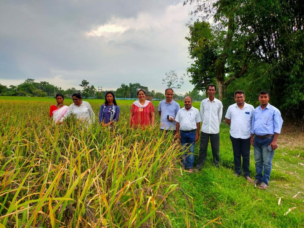 Implementation of Seed Village Programme - RGVN-APPI Project in association with APART, Krishi Vigyan Kendra of Morigaon District.