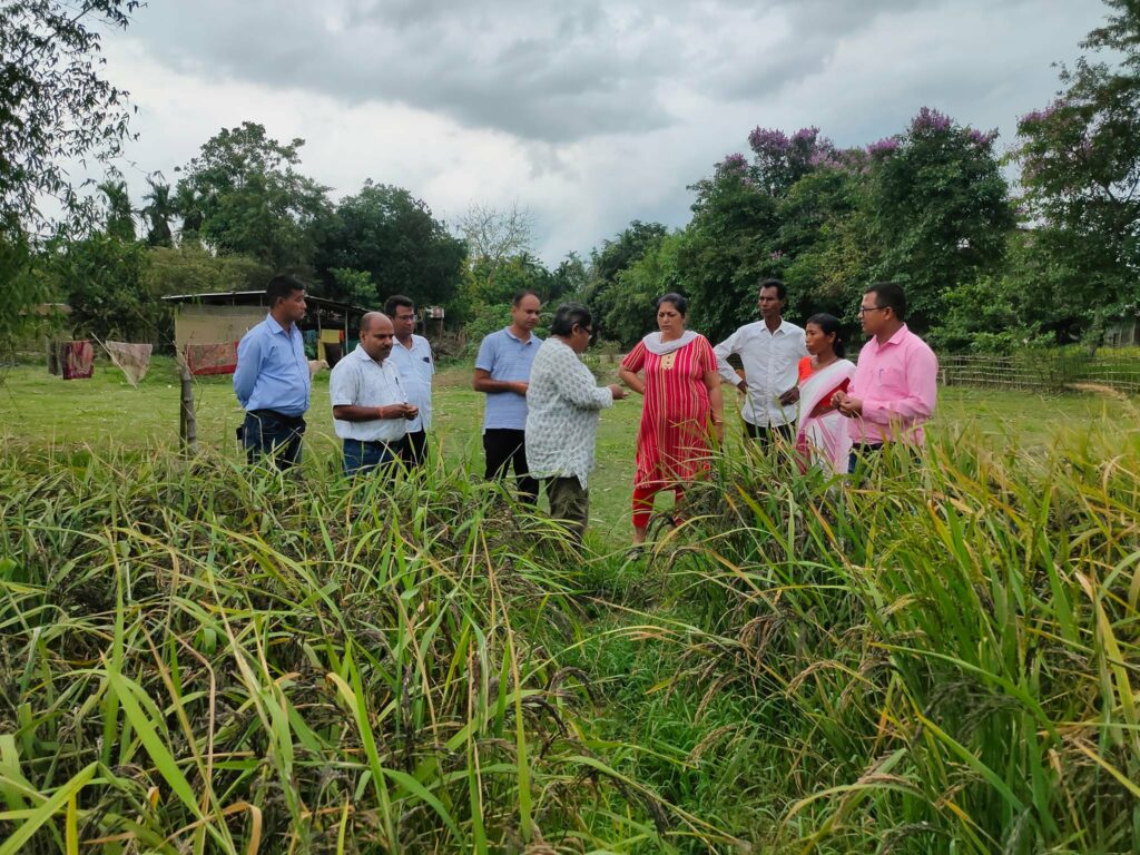 Implementation of Seed Village Programme - RGVN-APPI Project in association with APART, Krishi Vigyan Kendra of Morigaon District.