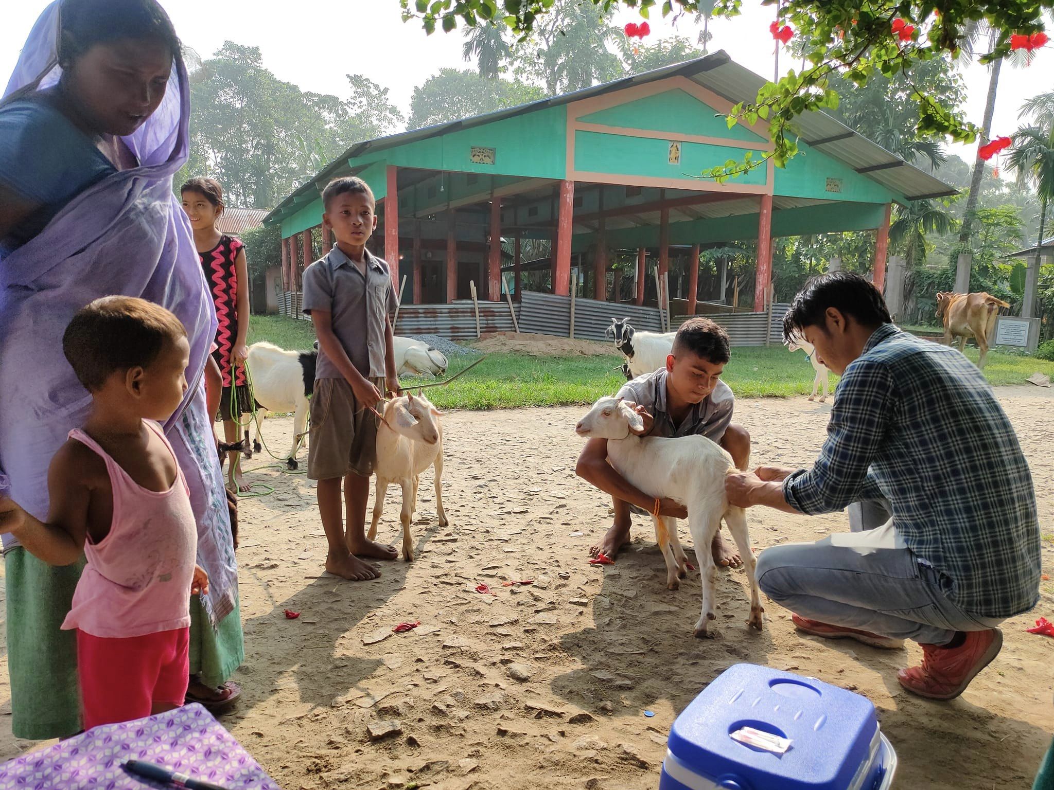 Livestock Vaccination and Deworming Campaign