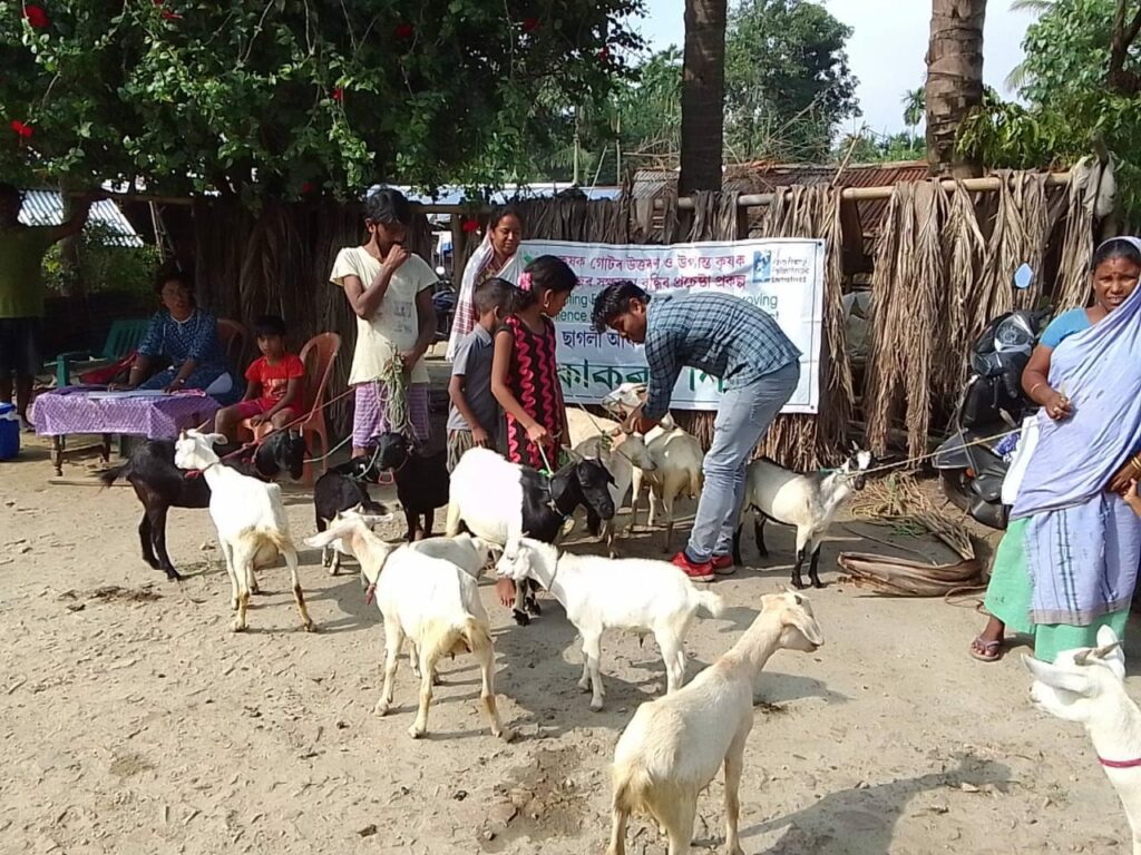 Livestock Vaccination and Deworming Campaign