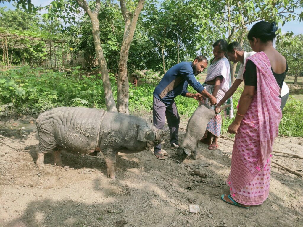 Vaccination Campaign