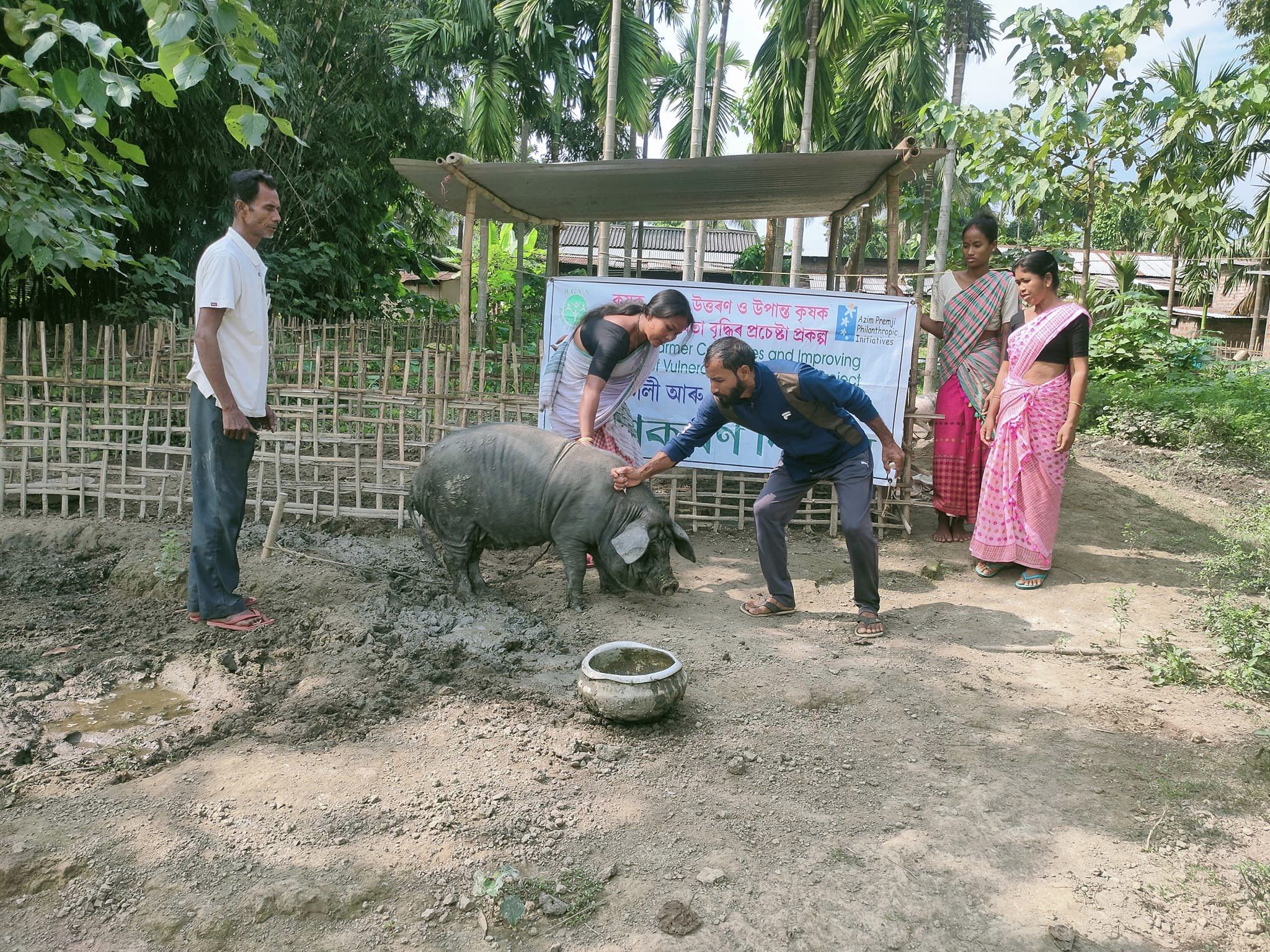 Vaccination Campaign