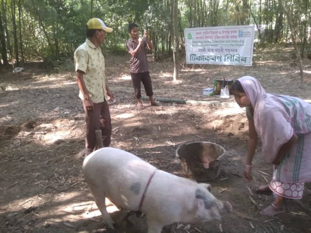 Vaccination Campaign