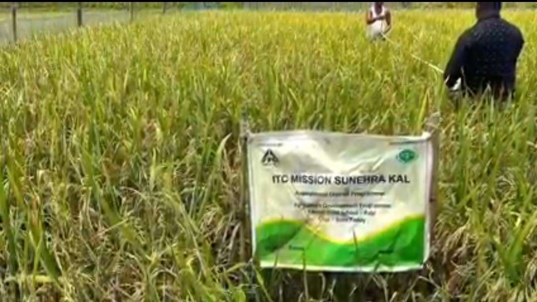 ITC Mission Sunehra Kal – Crop cutting and Harvesting