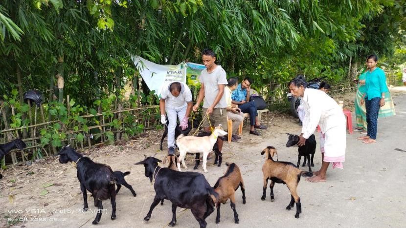 ITC Mission Sunehra Kal – Animal Health Camp, Chaygaon, Kamrup District
