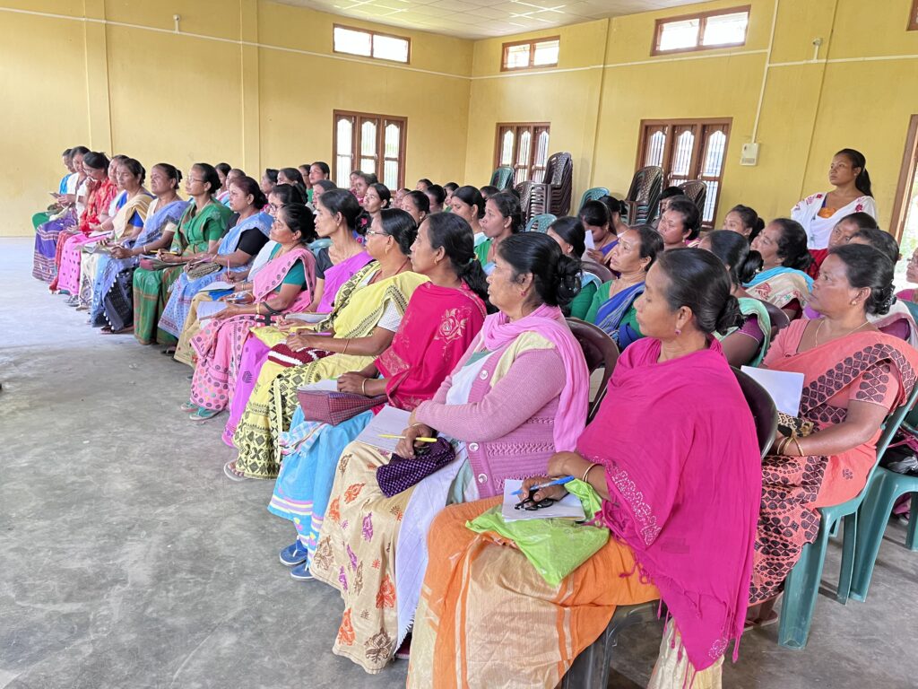 A pilot workshop on Honey cultivation, Baksa District