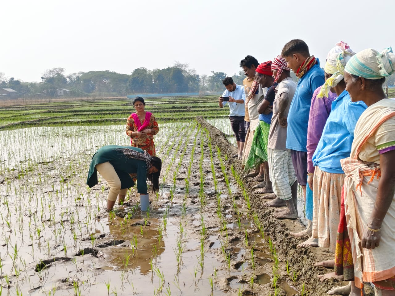 ITC-MSK Project Boosts Livelihoods and Diversification for Farmers in Chhaygaon Rampur area